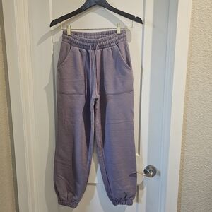 Universal Thread Women's Purple Joggers